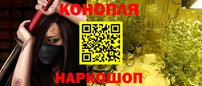 прущие крисы Камышлов
