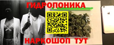 прущие крисы Камышлов