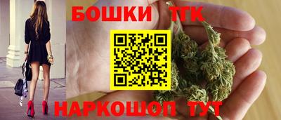 прущие крисы Камышлов
