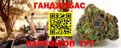 гашик Кандалакша