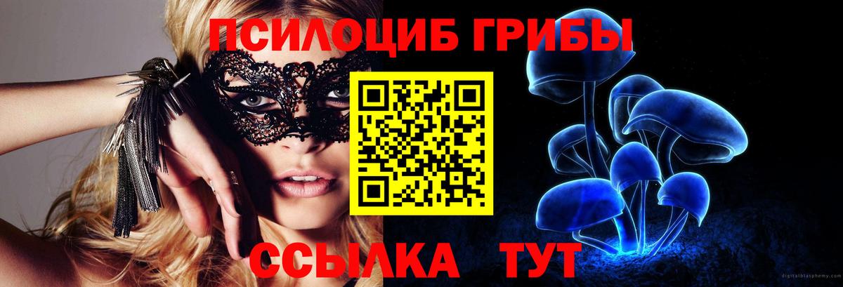 Псилоцибиновые грибы MAGIC MUSHROOMS Кудрово