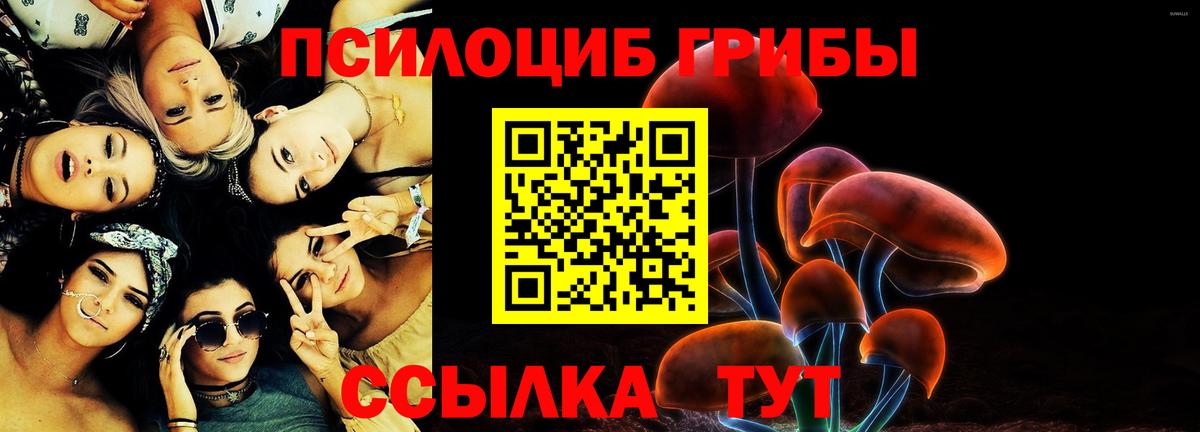 Кудрово  Псилоцибиновые грибы Cubensis  Вход с VPN  Псилоцибиновые грибы GOLDEN TEACHER 